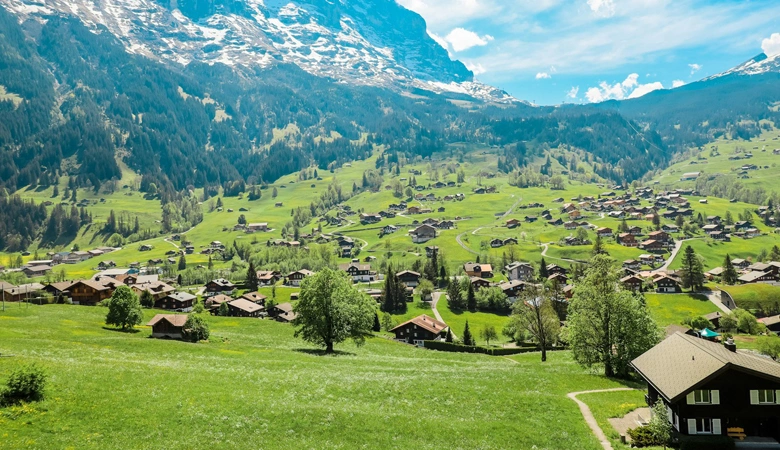 Embracing Tranquility in the Swiss Alps (1)