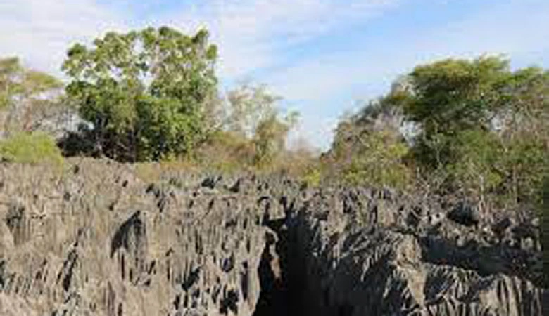 Tsingy de Bemaraha – Madagascar’s Stone Forest