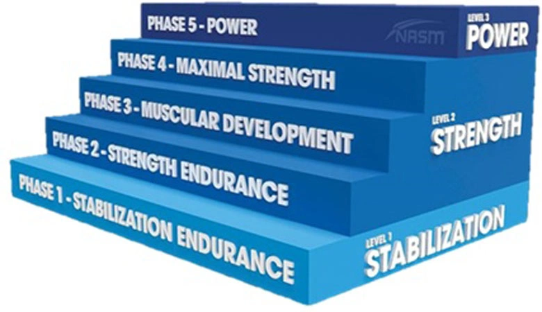 Step 2 The Phases of Periodization