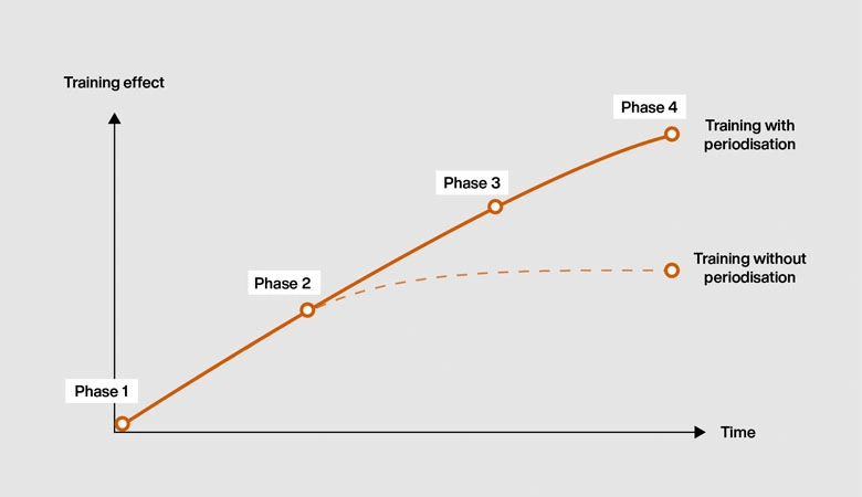 Step 3 Why Periodization Matters for Progress