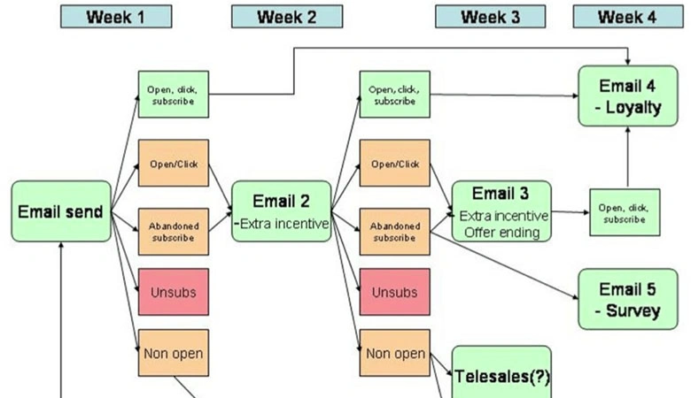 2. Set Automated Email Campaigns